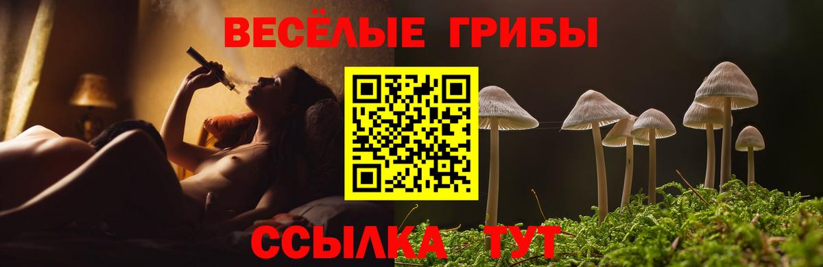 Псилоцибиновые грибы Psilocybine cubensis  Вход с VPN  Энгельс 